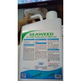 Seaweed – xử lý môi trường ao trong sạch
