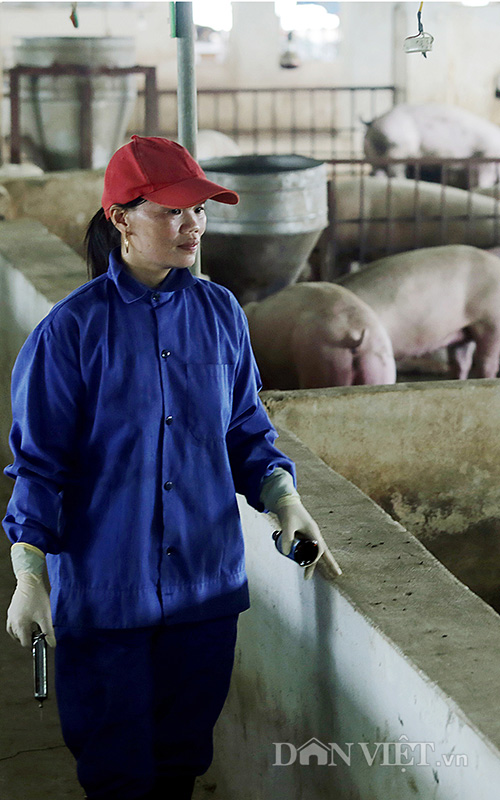 de duoc cong nhan la trang trai can nhung dieu kien gi? hinh anh 3