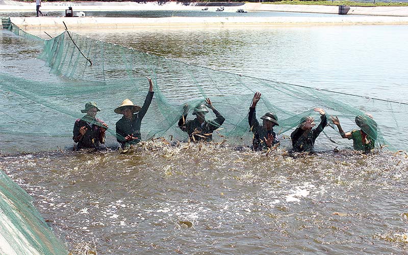 de duoc cong nhan la trang trai can nhung dieu kien gi? hinh anh 2