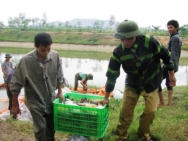 chu trang trai se duoc vay den 10 ty dong hinh anh 2