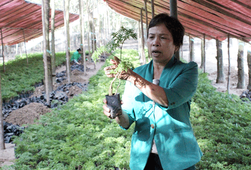 tay ninh tang gap 3 lan von dau tu phat trien nong nghiep hinh anh 1