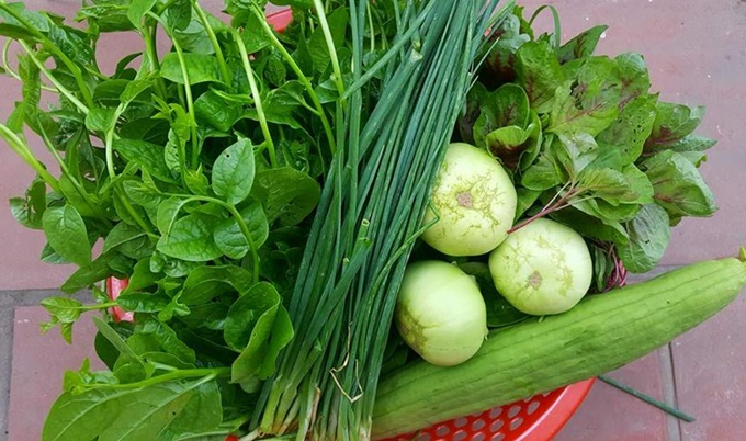 ba-me-hai-con-o-hung-yen-thu-hang-ta-nong-phm-tu-vuon-rau-san-thuong-40-m2-11