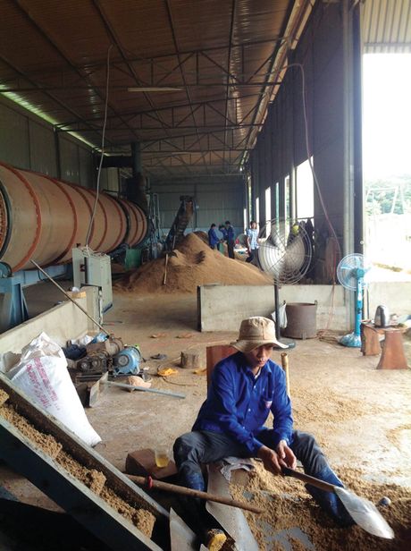 Làm giàu từ ý tưởng xanh