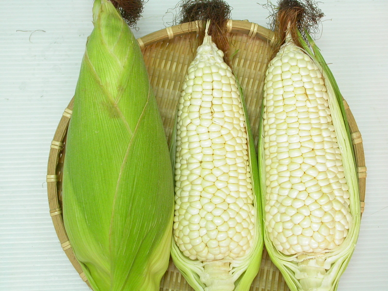 Bắp nếp mới thu hoạch. Ảnh minh họa.