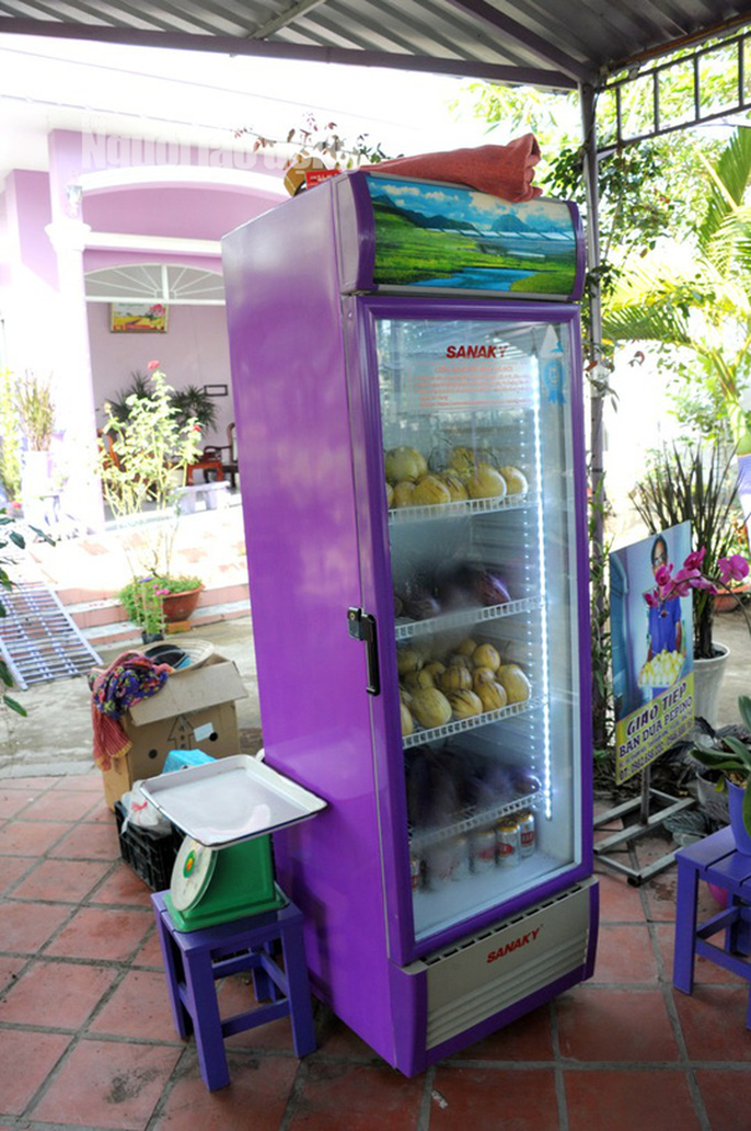 Lão nông 70 tuổi tiết lộ lí do trồng toàn hoa kiểng màu tím, thu hơn 15 tỉ/năm - Ảnh 13.