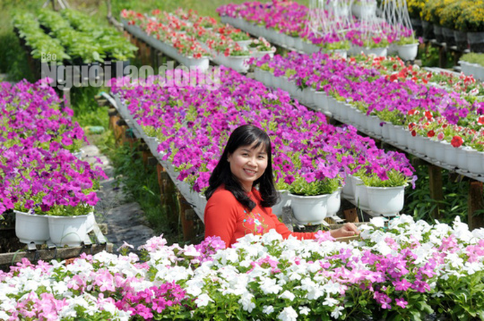 Lão nông 70 tuổi tiết lộ lí do trồng toàn hoa kiểng màu tím, thu hơn 15 tỉ/năm - Ảnh 6.