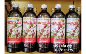 Tại Sao Các Mạch Máu Quyết Định 89% Sức Khỏe Của Bạn?