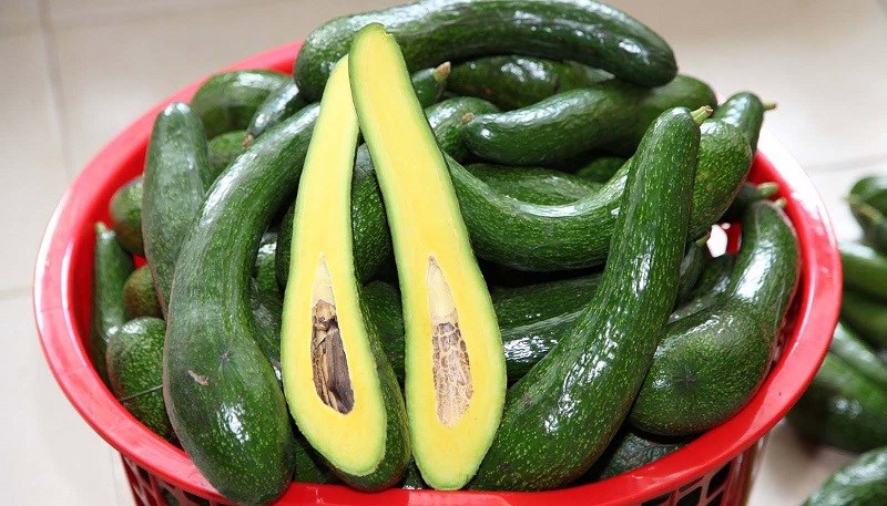 bo-sap-co-may-loai-cac-loai-bo-sap-ngon-cach-phan-biet-bo-sap-va-bo-nuoc-2-800x457-1 Bơ 034