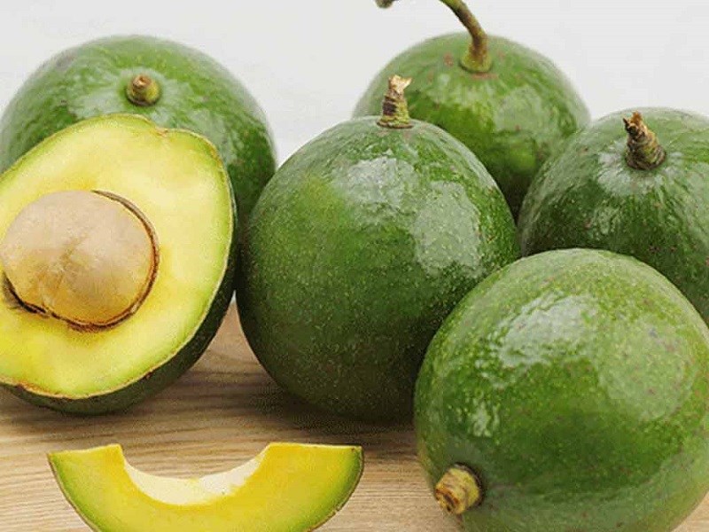 bo-sap-co-may-loai-cac-loai-bo-sap-ngon-cach-phan-biet-bo-sap-va-bo-nuoc-3-800x600-1 Bơ booth