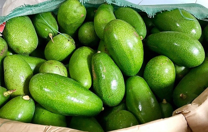 bo-sap-co-may-loai-cac-loai-bo-sap-ngon-cach-phan-biet-bo-sap-va-bo-nuoc-5-800x507-1 Bơ năm lóng