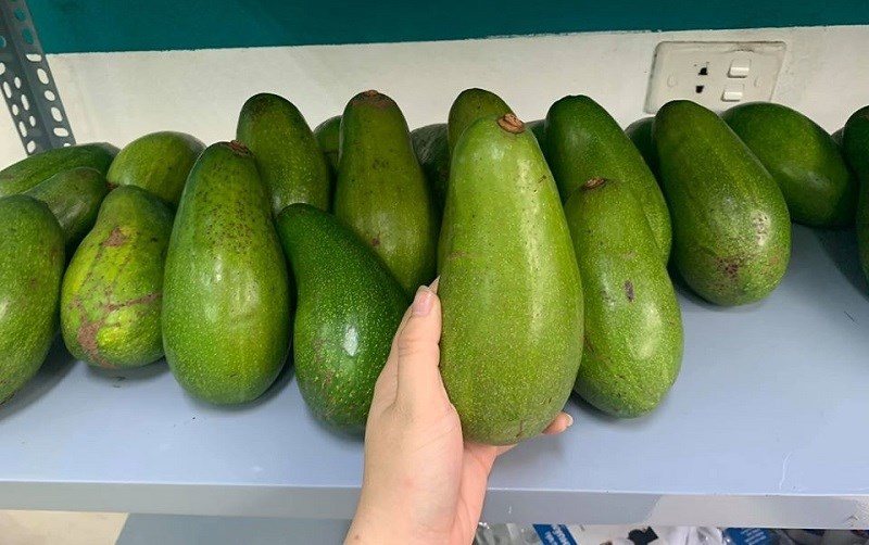 bo-sap-co-may-loai-cac-loai-bo-sap-ngon-cach-phan-biet-bo-sap-va-bo-nuoc-8-800x502-1 Bơ Trịnh Mười