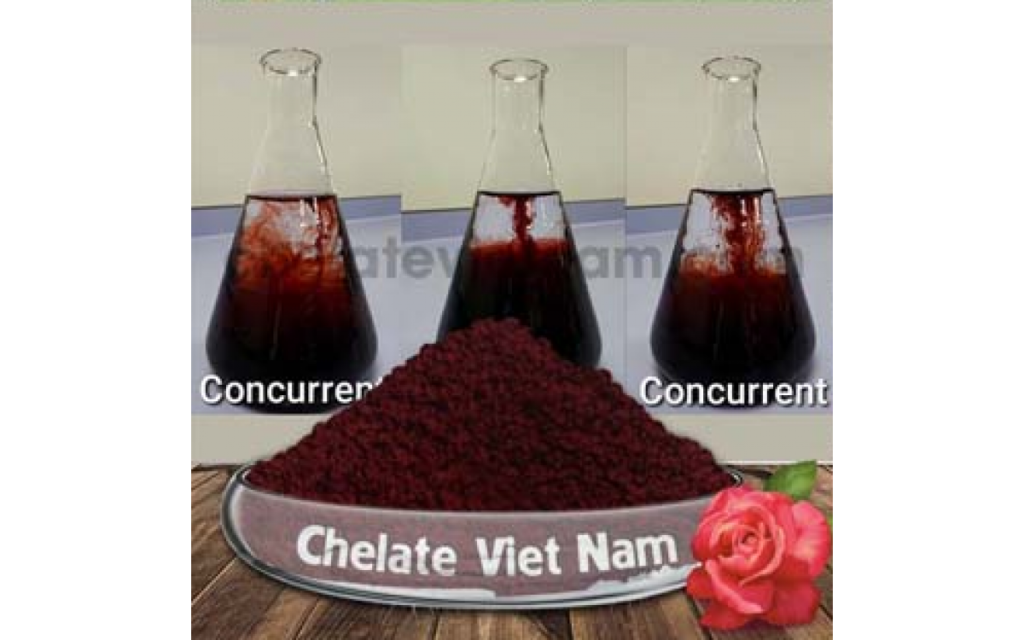 Sử dụng Fe-EDDHA sự lựa chọn thông minh và cần thiết cho cây trồng