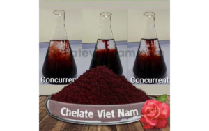 Sử dụng Fe-EDDHA sự lựa chọn thông minh và cần thiết cho cây trồng