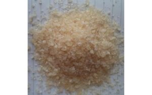 Ổi sạch từ gốc, lãi 400 – 500 triệu/ha