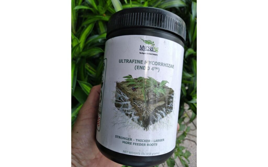 Phụ phẩm bia + phân bò = thuốc trừ sâu sinh học