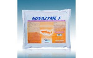 Nuôi dê ở miền sông nước vẫn sống khỏe