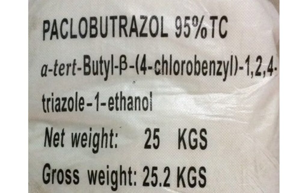 KINH NGHIỆM SỬ DỤNG PACLOBUTRAZOL XỬ LÝ MẬN AN PHƯỚC RA HOA NGHỊCH VỤ ĐẠT HIỆU QUẢ CAO