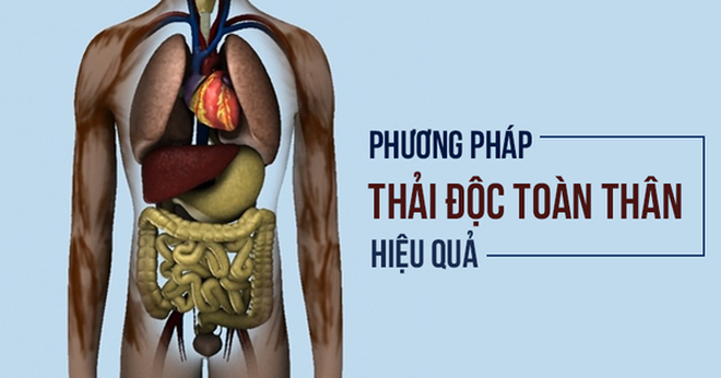 Chúng ta cần thải độc toàn bộ cơ thể bằng cách nào? Đây chính là giải pháp!