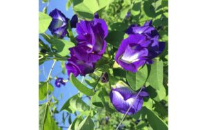 Áp dụng tốt quy tắc “hai cần, hai chậm” để sau tuổi trung niên sống không bệnh tật, chẳng tốn tiền thuốc thang: 30 bắt đầu phải chú ý để tăng tuổi thọ