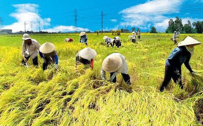 Hàng loạt ưu đãi cho doanh nghiệp đầu tư vào nông nghiệp