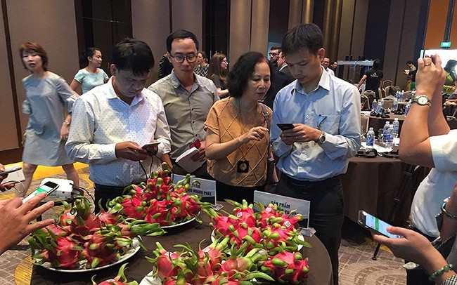 Thanh long được giá nhờ công nghệ blockchain