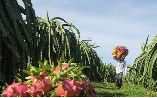 Những tỷ phú Những tỷ phú