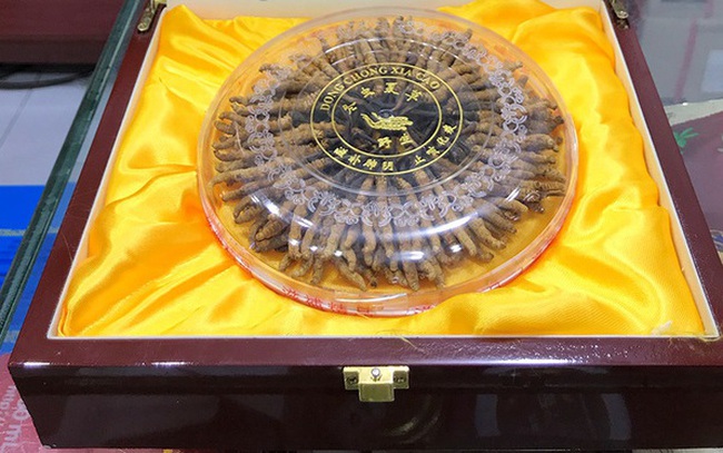 Quà Tết giá "khủng", chỉ giới đại gia mới dám chi tiền: Có gì bên trong mà giá tới cả tỷ đồng/kg?