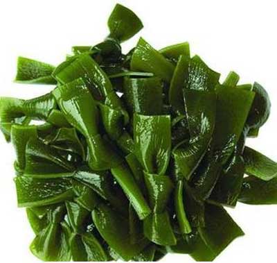 lợi ích của rong biển