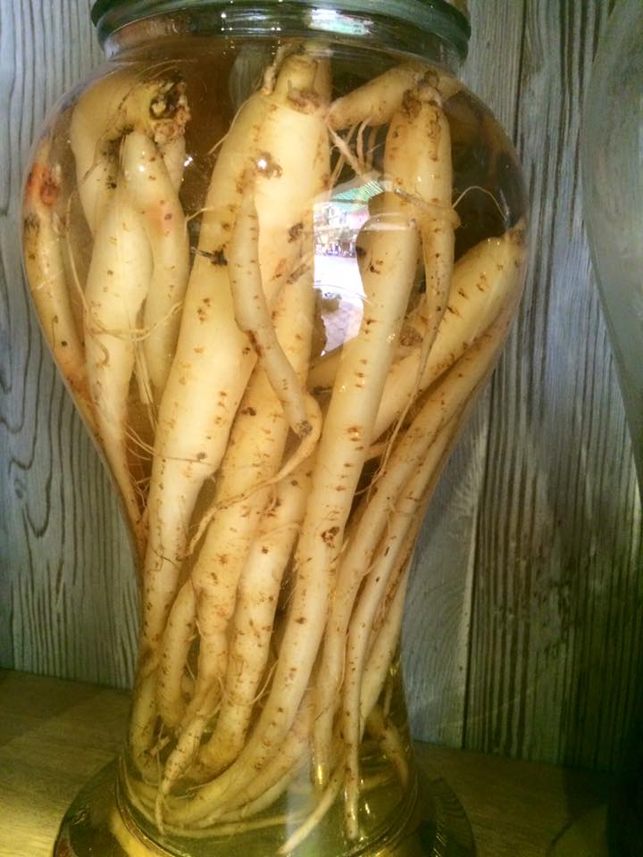 Cách ngâm rượu sâm dây