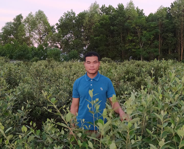 Đem cây dại về trồng để bán, người đàn ông Lạng Sơn thu cả tỷ đồng/năm - 1