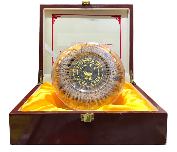 Quà Tết giá khủng, chỉ giới đại gia mới dám chi tiền: Có gì bên trong mà giá tới cả tỷ đồng/kg? - Ảnh 1.