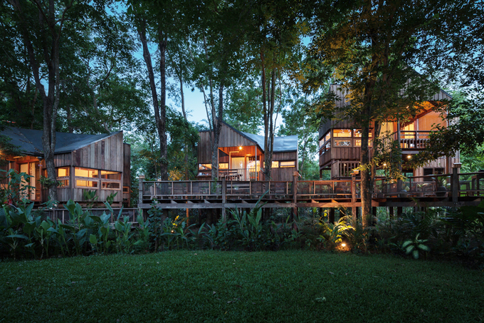 Gia chủ chờ 30 năm để vườn thành rừng rồi mới xây nhà