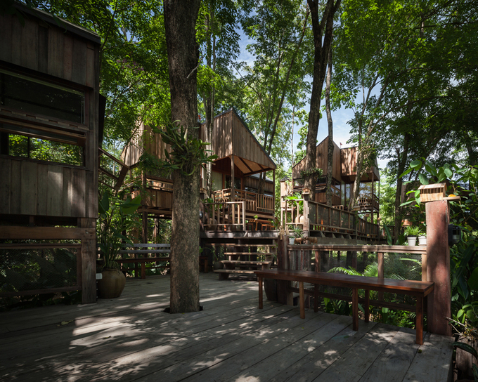 Gia chủ chờ 30 năm để vườn thành rừng rồi mới xây nhà