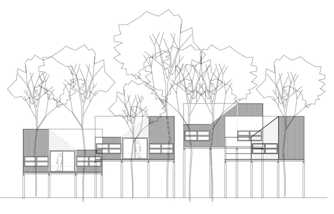 Gia chủ chờ 30 năm để vườn thành rừng rồi mới xây nhà