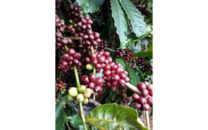 Làm gì để giữ vóc dáng đẹp!